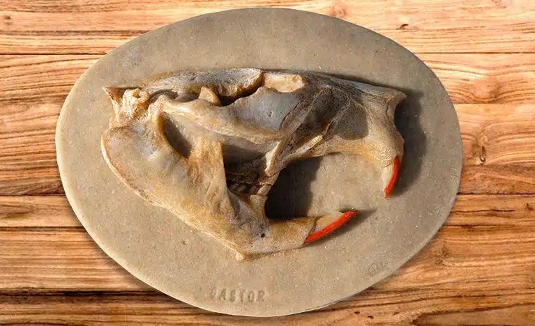 panneau pedagogique histoire cerf