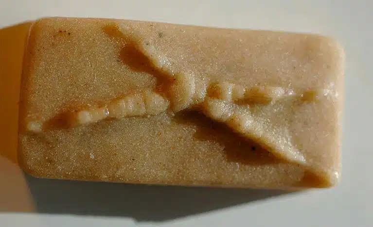 panneau pedagogique histoire cerf