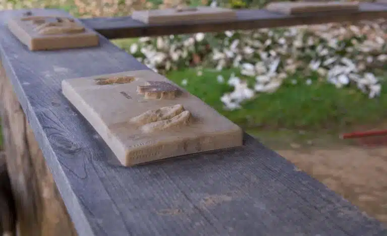 panneau pedagogique histoire cerf