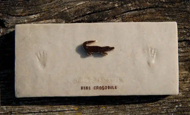 panneau pedagogique histoire cerf