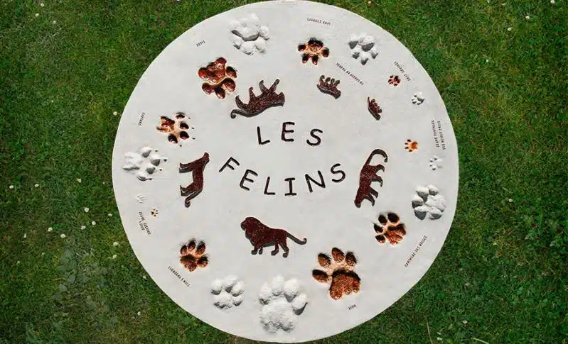 panneau pedagogique histoire cerf